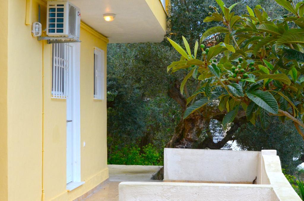 Eleni Studios Tsilivi  Exterior foto